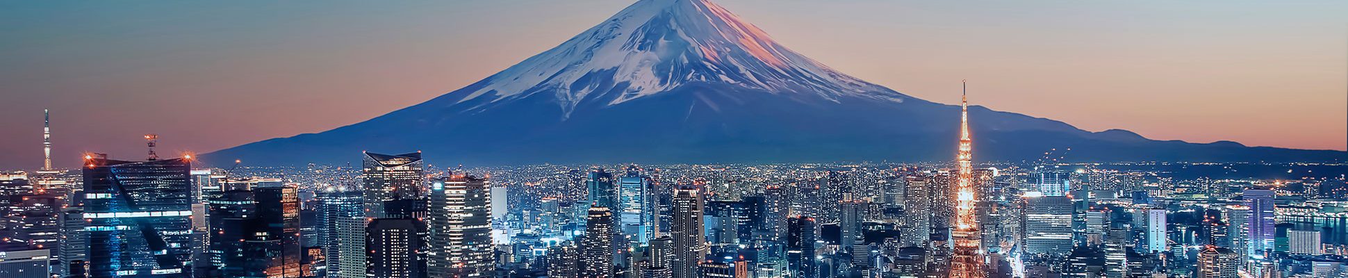 gruppenflug-tokio-skyline